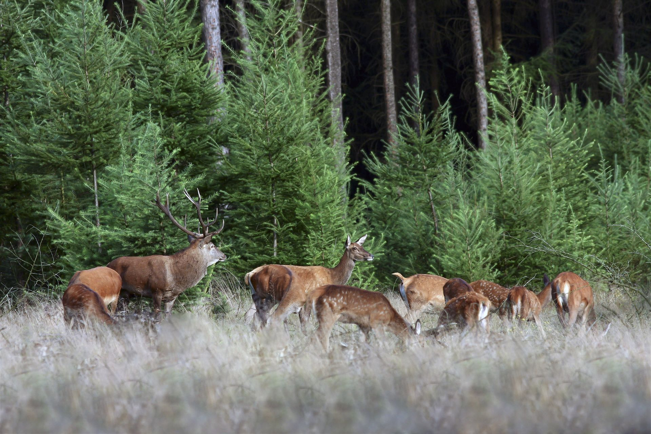 ©Evert Veenendaal ©Evert Veenendaal