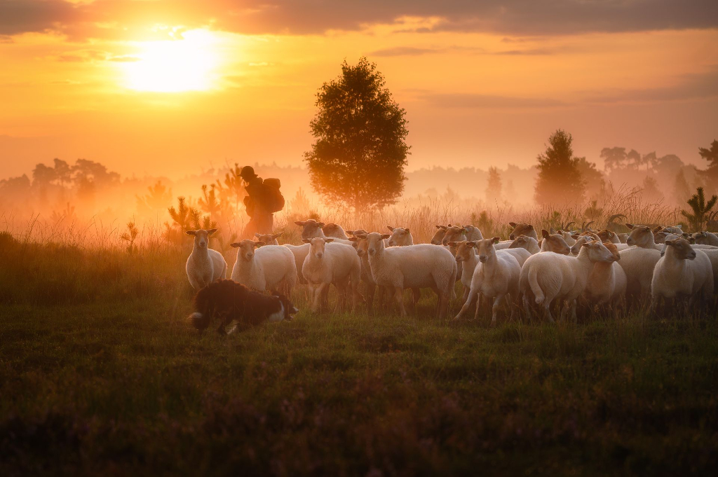 ©Ilona Schong ©Ilona Schong