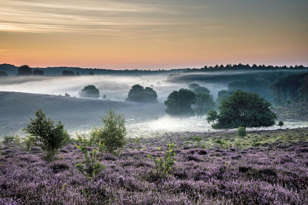 ©Hans Aartsen ©Hans Aartsen