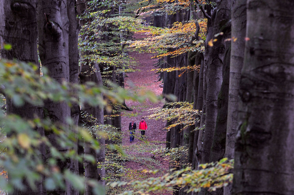 ©Martin van Lokven ©Martin van Lokven